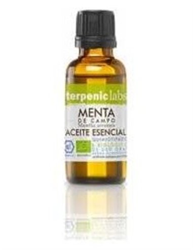 Menta Campo Aceite Esencial Bio 30Ml. de Terpenic