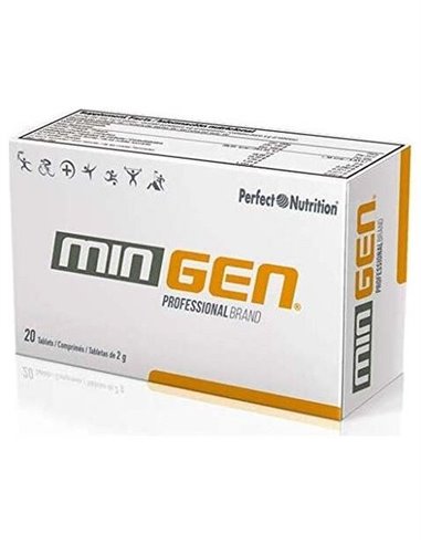 Mingen 20Comp.Mast. de Gen Professional