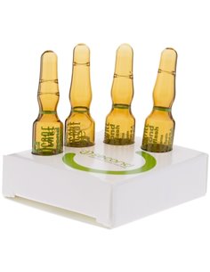 Endocare 1 Second Triple Flash 4Amp. de Endocare