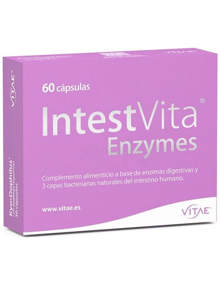 IntestVita Enzymes 60 cápsulas de Vitae
