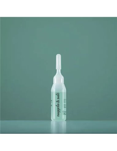 Regenerador Capilar 1Amp 10Ml. de Nuggela & Sule