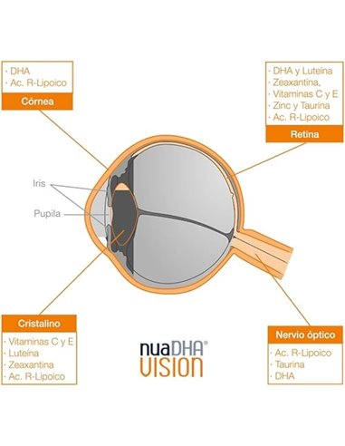 Nuadha Vision 60Cap. de Nua