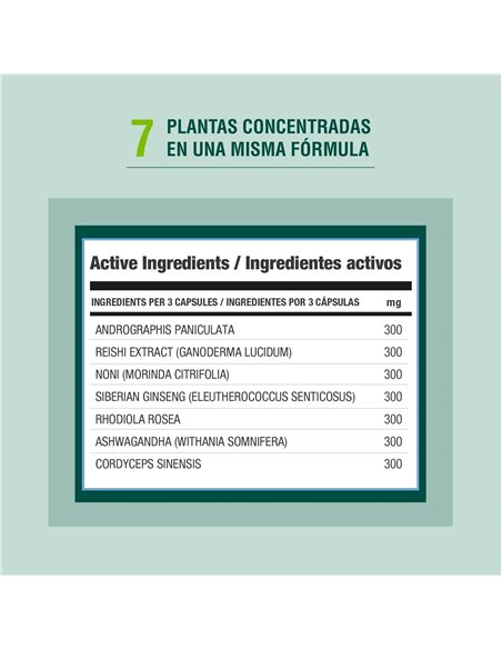 Immodulator 90 Cap de Adaptoheal