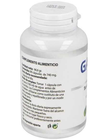 Gaba 550Mg. 90Cap. de Besibz