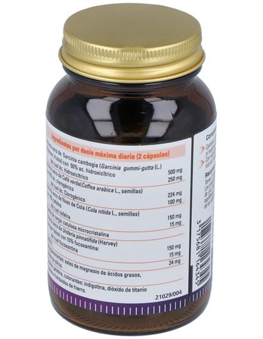 Biform Mega Burn 60Cap. de Dietisa (Dielisa)