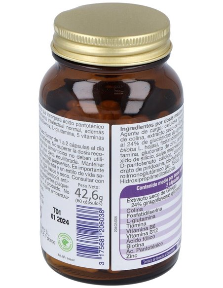 Mega Ginkgo Complex 60Cap. de Dietisa (Dielisa)