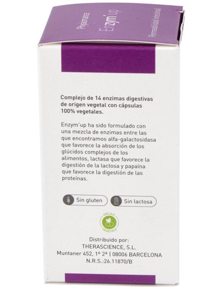 Physiomance Enzym Up 60Cap. de Therascience