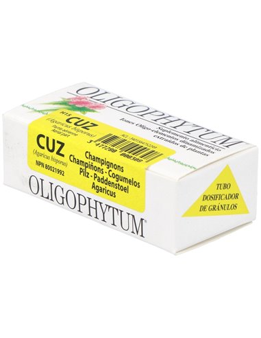 Oligophytum Cobre Zinc de Holistica