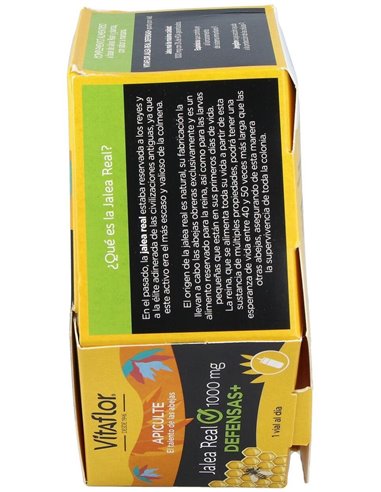 Vitaflor Defensas Echinacea 20Viales de Vitaflor