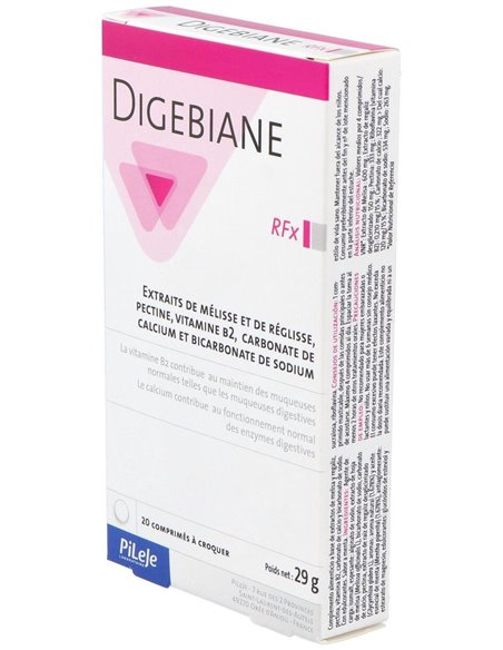 Digebiane Rfx 20 comp mast de Pileje