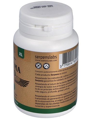 Curcuma Gold Xl 120Cap. de Serpens