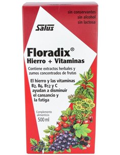 Floradix Hierro 500Ml de Salus