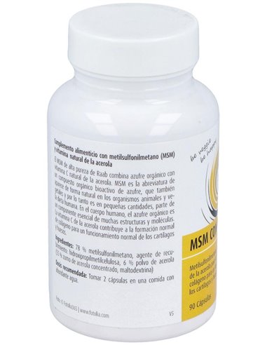 MSM con vitamina C cápsulas 630mg, bote 90ud de Raab Vitalfood