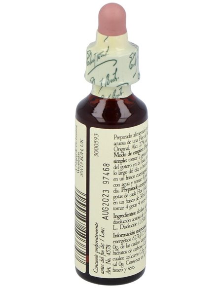 (08) Chicory  de Bach