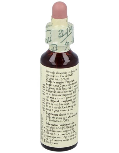 (08) Chicory  de Bach