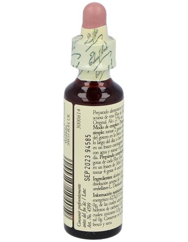 (29) Star Of Bethlehem  de Bach