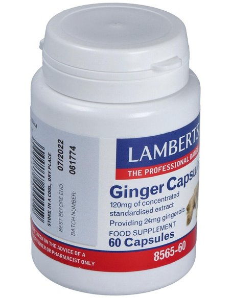 Jengibre 14.400 mg (24 mg de gingeroles) 60 Caps. de Lamberts
