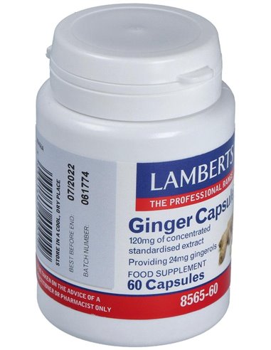 Jengibre 14.400 mg (24 mg de gingeroles) de Lamberts