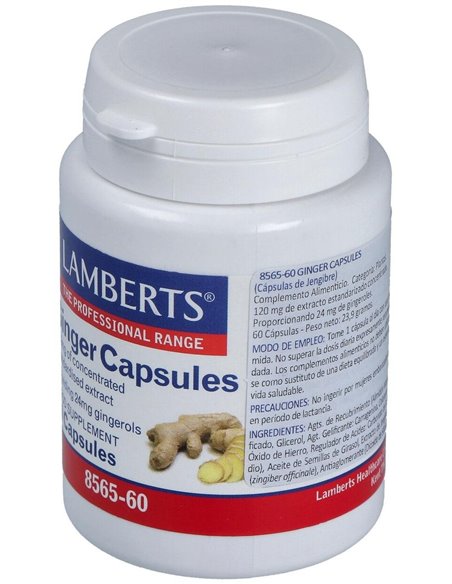 Jengibre 14.400 mg (24 mg de gingeroles) de Lamberts