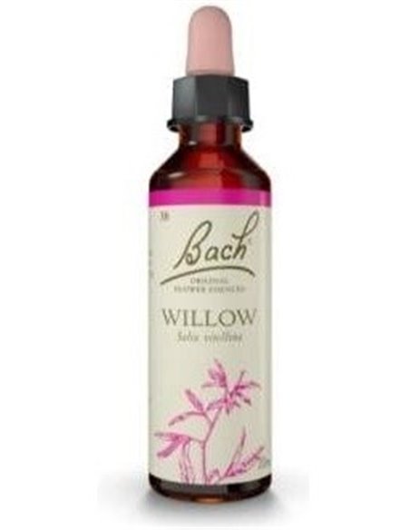 (38) Willow de Bach