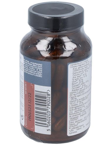 Nutrientes Antiox. Complex 100Vcap. de Terranova