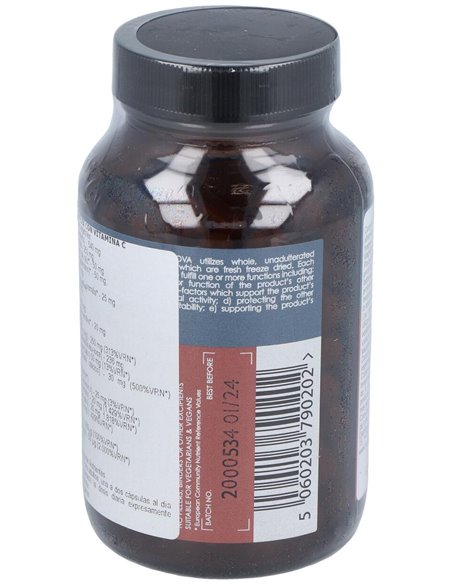 B-Complex Con Vitamina C 100 Vcáps de Terranova