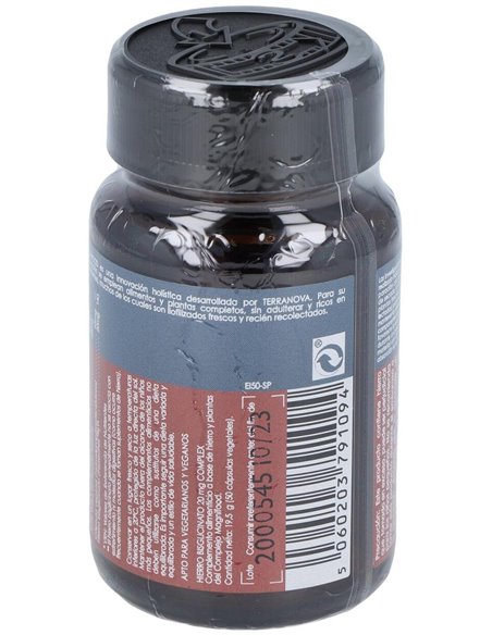 Hierro Bisglicinato 20Mg. 50Vcap. de Terranova