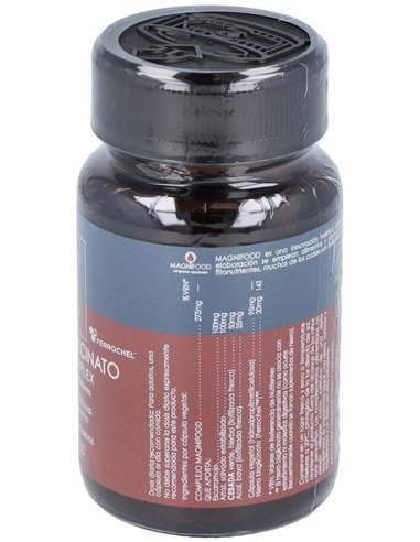 Hierro Bisglicinato 20Mg. 50Vcap. de Terranova