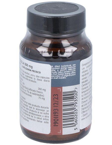 Rhodiola 300Mg. 50Vcap. de Terranova