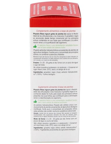 Tintura Ribes Nigrum (Grosellero Negro) de Physalis