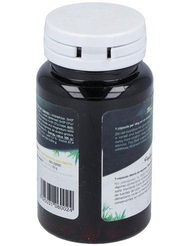 Ferment Daily 60Cap. de Probioticos San