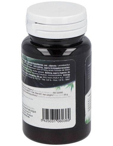 Ferment Slim 60Cap. de Probioticos San