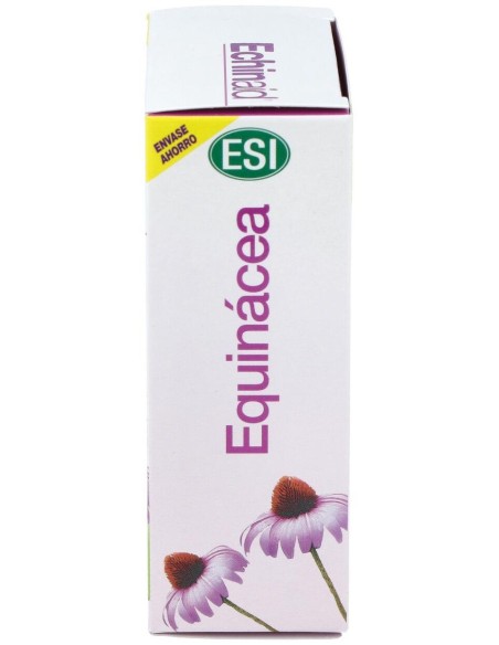 Echinaid 60Cap. de Trepatdiet-Esi