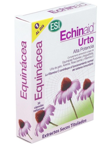Echinaid Urto 30Cap. de Trepatdiet-Esi