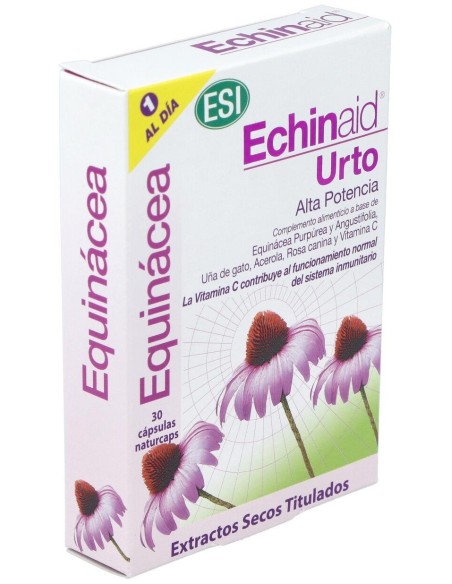 Echinaid Urto 30Cap. de Trepatdiet-Esi