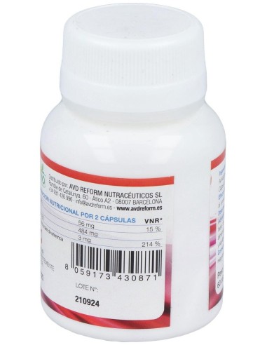 T-Mag 60Cap. de Avd Reform