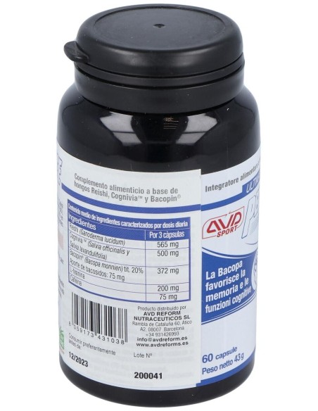 Performance Brain 60Cap. de Avd Reform