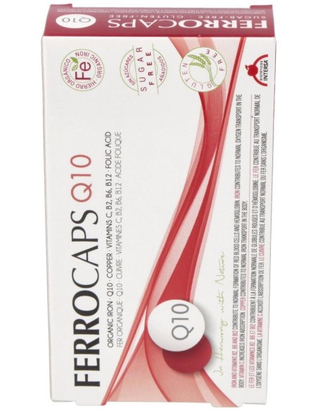 Ferrocap'S Q10 60 Cap. de Intersa
