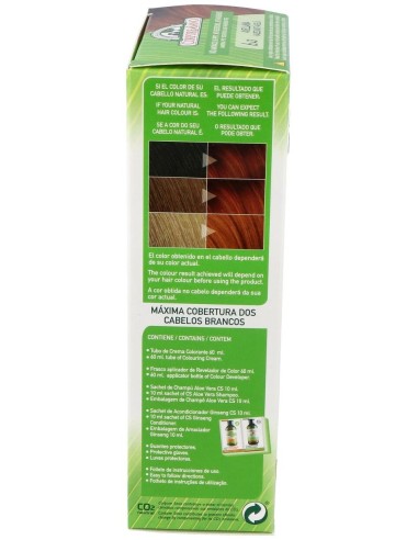 Tinte Avellana (6.43) 140Ml. de Corpore Sano