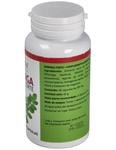 Moringa Forte 60Cap. de Plantapol