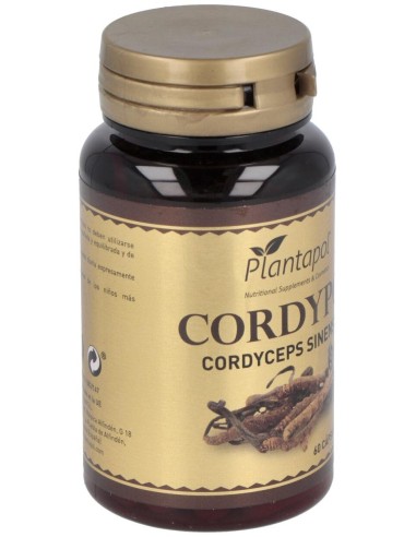 Cordypol Cordyceps + Vit C 60Cap. de Plantapol