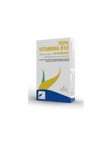 Fepa-Vitamina B12 Liposomada 40Cap. de Fepadiet