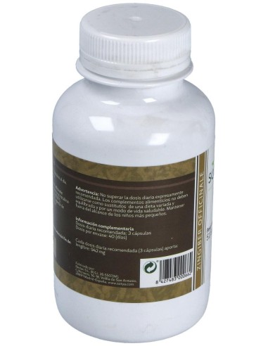 Jengibre 120Cap. de Sotya