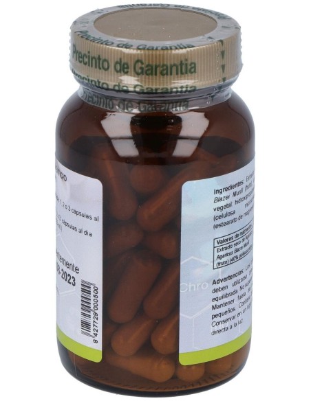 Agaricus Blazei 60Cap. de Cfn