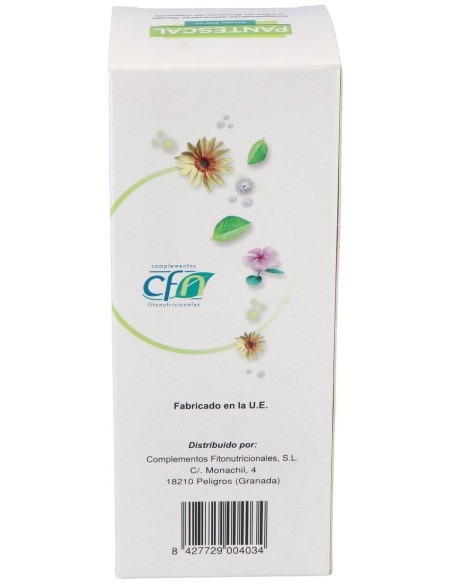 Pantescal Jarabe 250Ml. de Cfn