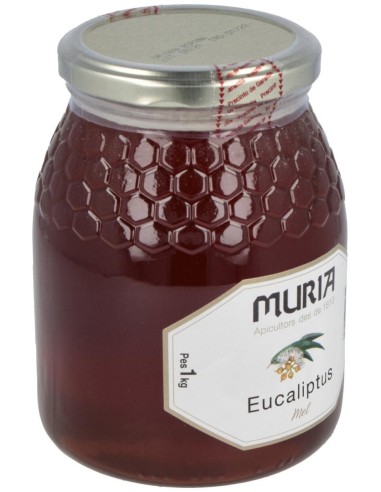 Miel De Eucalipto 1Kg. de Muria