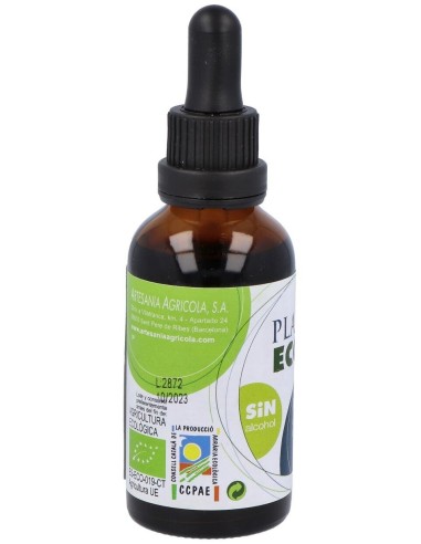 Ext. Llanten S/Al Eco 50Ml. de Artesania