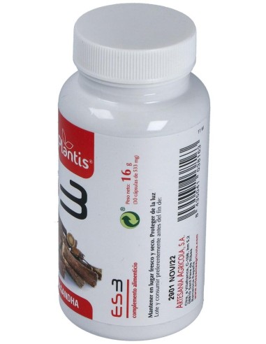 Es3 Plantis 30 Cap. de Artesania