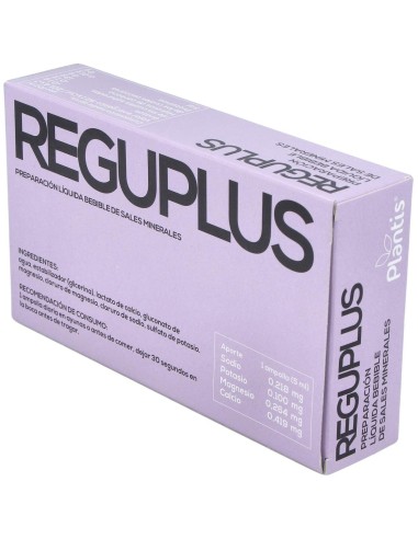 Reguplus 20Amp. de Artesania
