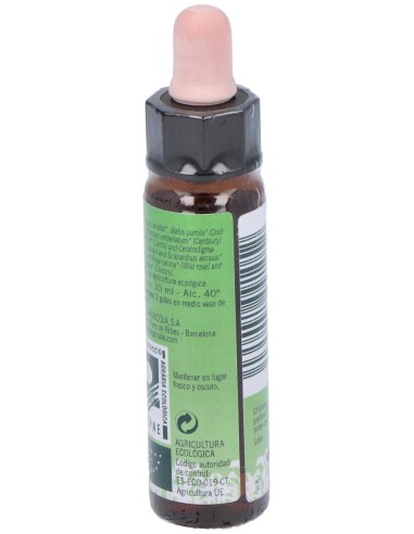 Remedio Plantis Nº 6 Autoestima 10Ml. Eco de Artesania